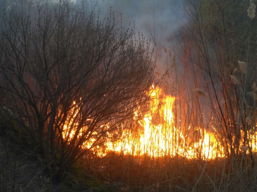 В Каменском из-за пожара едва не взорвалась АЗС