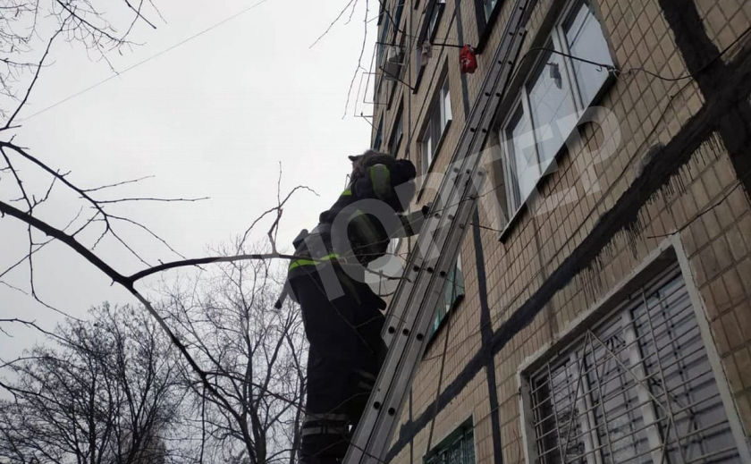 В Каменском спасатели сняли кота с подоконника квартиры на 3 этаже