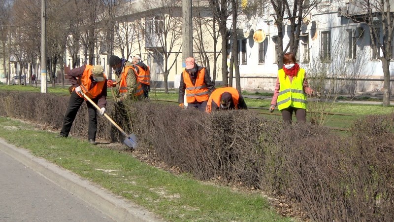 В Каменском скоро позеленеет