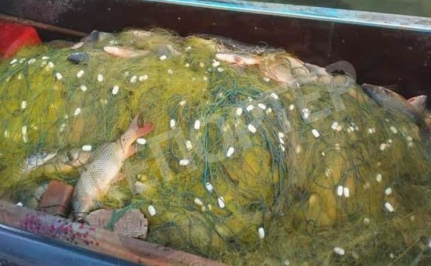 Операция «Нерест». В Каменском задержали браконьеров с 300 кг рыбы