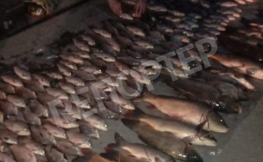 Под Каменским полиция задержала браконьеров с электроудочкой и 70 кг рыбы