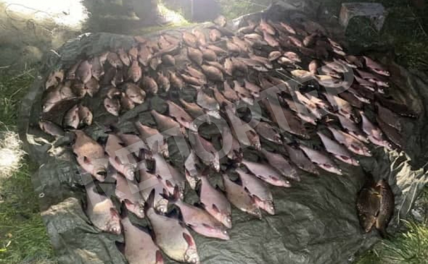 Под Каменским браконьер наловил сетями 60 кг рыбы