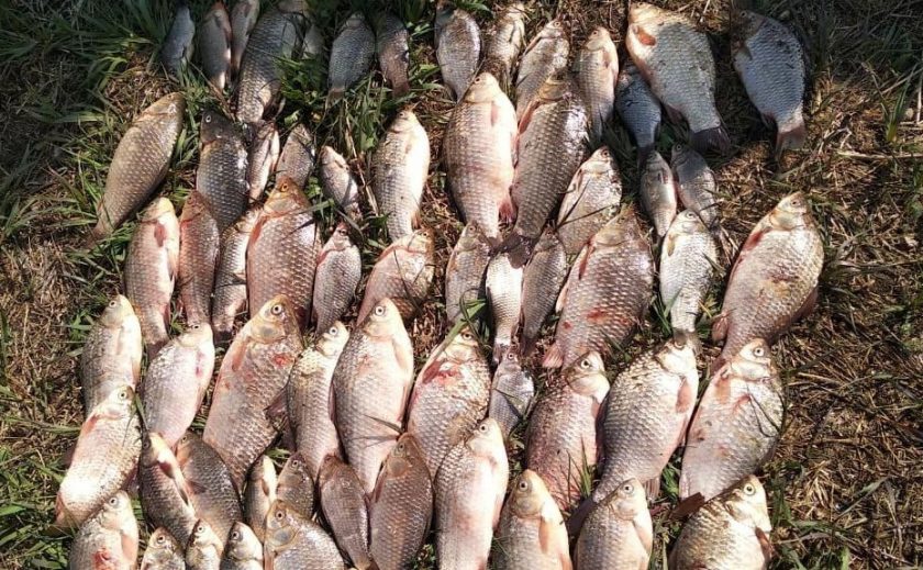 На Амуре задержали браконьера, уничтожавшего водные ресурсы Каменского водохранилища