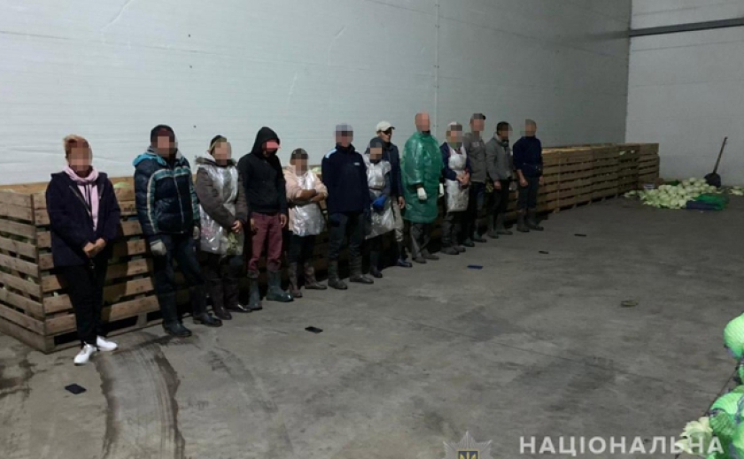 Заставляли бездомных работать на фермеров в Магдалиновском и Петриковском районах: На Днепропетровщине под суд идут 4 «рабовладельца»