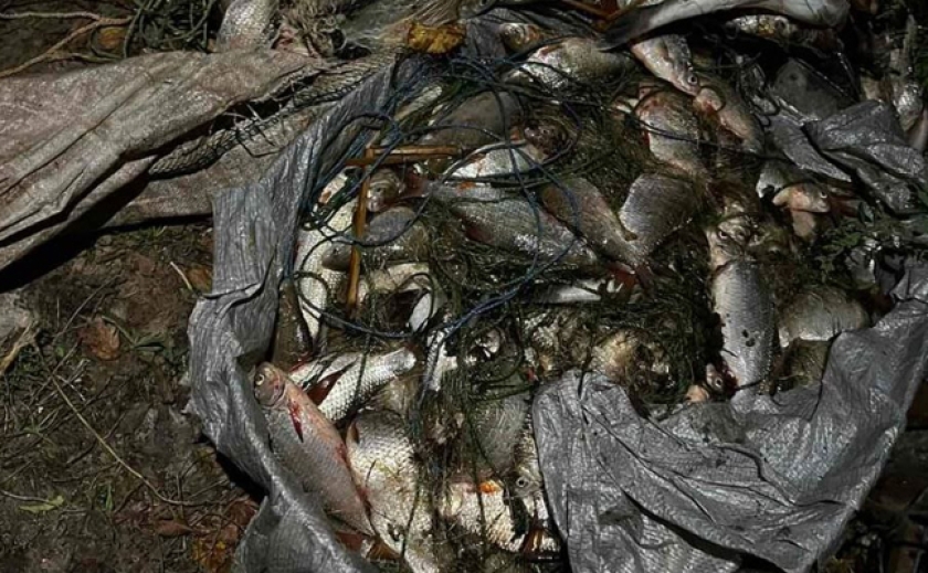 Екологи та поліція затримали браконьєра з 400 рибами на Кам’янському водосховищі
