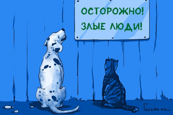 SOS! В Каменском отравили шесть бездомных собак