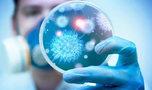 В Каменском увеличилось количество излеченных от COVID-19