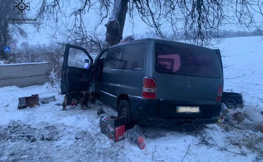На Дніпропетровщині автівка злетіла з траси і вдарилась в дерево