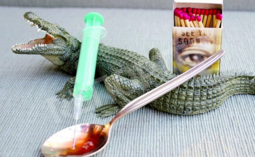 Полиция Каменского добралась до наркопритона с «крокодилом»