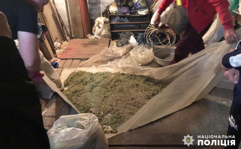 Вилучили 40 кг канабісу: у Кам’янському районі викрили 70-річного чоловіка на вирощуванні та збуті марихуани