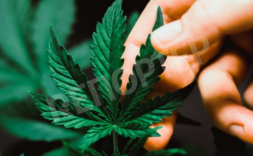 В Каменском полиция задержала драгдилеров с марихуаной