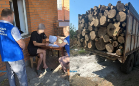 Незаконна порубка лісу у Камʼянському районі: п’ятьом учасникам організованої групи повідомлено про підозру