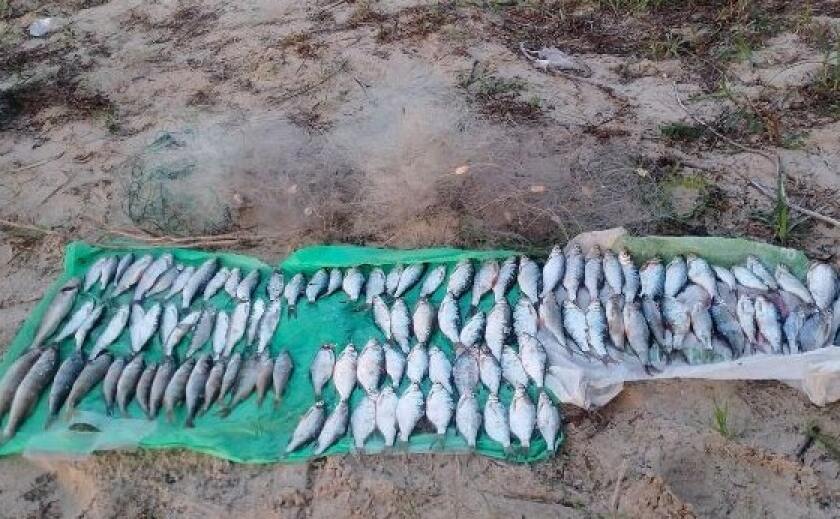 У Кам’янському браконьєр сітками наловив риби на 174 тисячі гривень