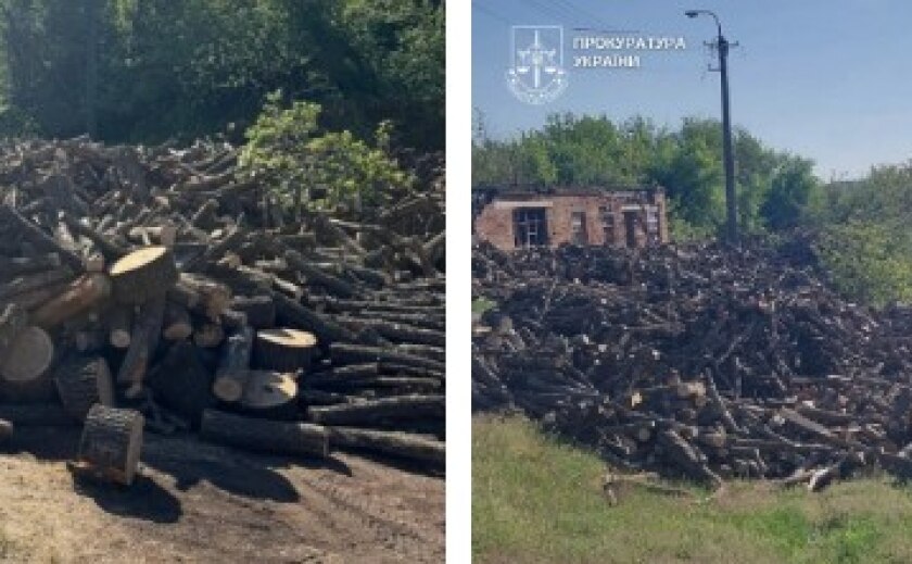 Трьох жителів Дніпропетровщини судитимуть через незаконні рубки: збитки державі становлять майже 1,3 млн грн