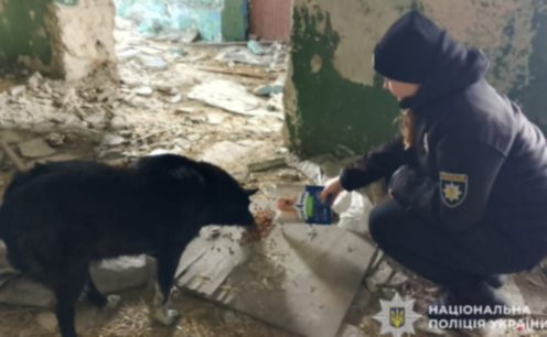 У Кам’янському ювенальні поліцейські врятували дитину та тварин із даху занедбаної будівлі