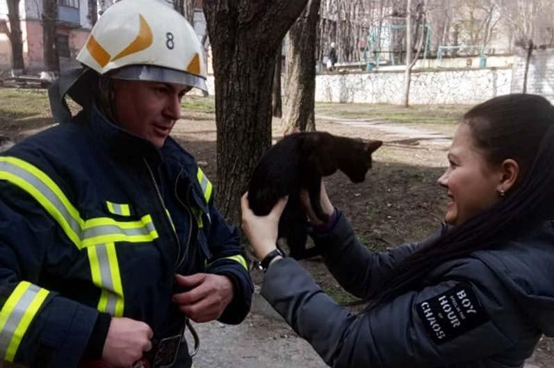 На Днепропетровщине черный верхолаз просидел на дереве двое суток ФОТО